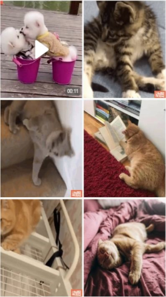 喵喵互助安卓版软件下载