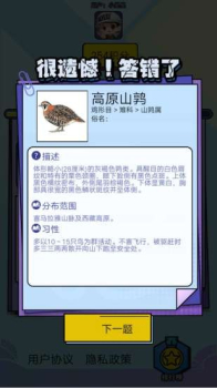 飞鸟乐园安卓版软件下载 v1.3.1 screenshot 1