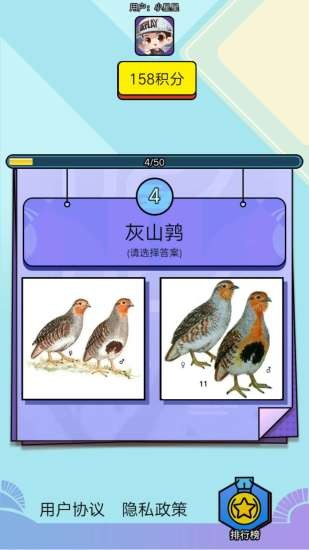 飞鸟乐园安卓版软件下载