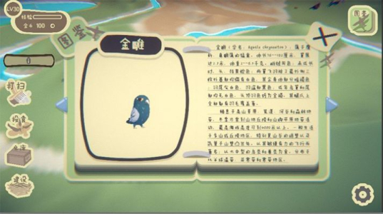 鸟之森游戏安卓版 v0.1 screenshot 5