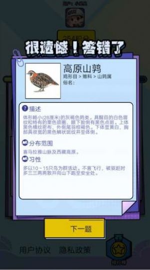 飞鸟乐园游戏红包版下载