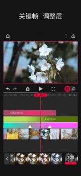 Focos Live app手机版下载 v1.0.1 screenshot 3