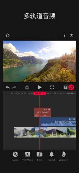 Focos Live app手机版下载
