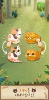 神秘森林猫游戏中文版