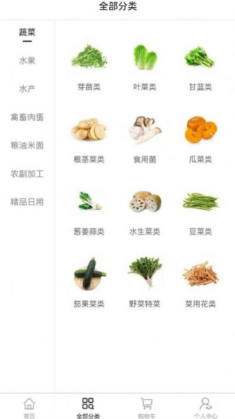 中链油礼app下载手机版