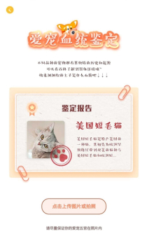 宠居app下载手机版 v1.0.0 screenshot 1