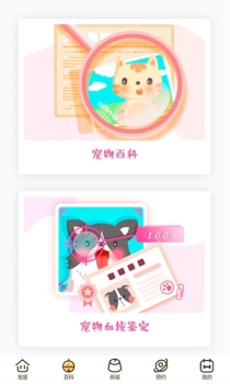宠居app下载手机版 v1.0.0 screenshot 2