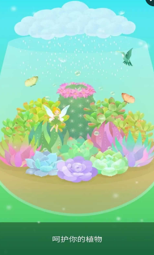 我的小小花园游戏中文手机版