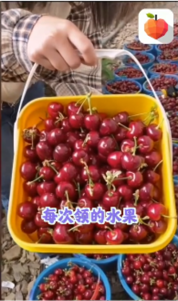 斑马果园领免费水果红包版下载