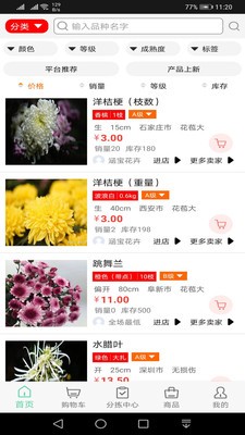 淘花缘app下载安卓版