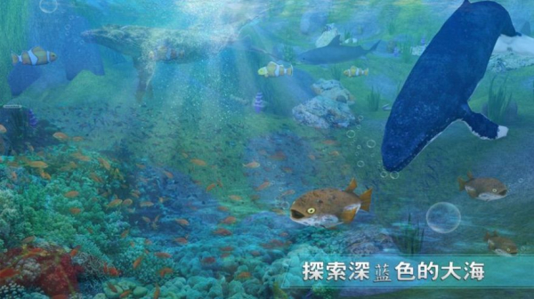 全民养鲸鱼游戏红包版下载