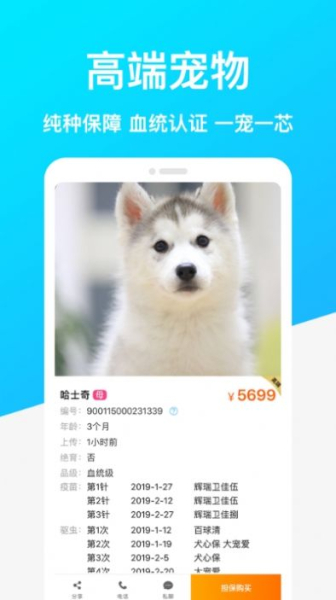 共宠app安卓版下载