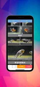 小鱼儿app下载最新版 v1.0.0 screenshot 2