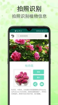 识花草最新版app下载 v1.1 screenshot 3