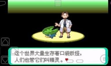 口袋妖怪荒芜世界精灵2周目下载 v1.0 screenshot 2