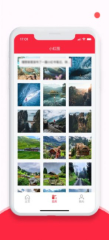 小红图app下载最新版 v1.0.1 screenshot 3
