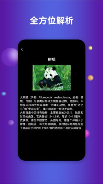 航路地球app手机版下载