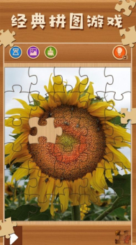 拼图大闯关游戏安卓最新版 v1.00 screenshot 3