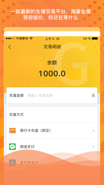 金猪岛下载手机版app