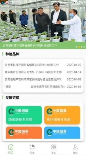 看叶识熟app软件下载
