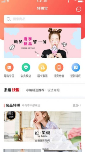 特拼网app手机版下载 v1.1 screenshot 3