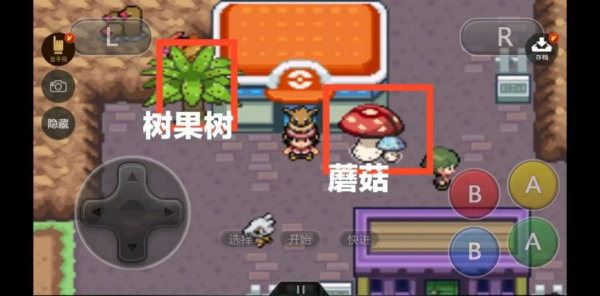 口袋妖怪赭色一周目游戏