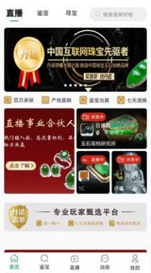 丹诺翡翠app安卓版