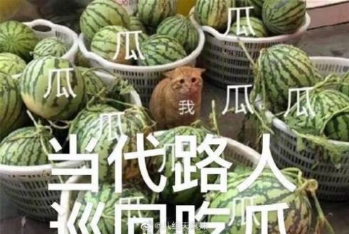 最近的我在瓜田上蹿下跳表情包抖音版图片