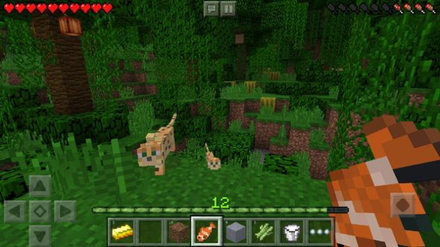 Minecraft The Wild Update更新主题下载 v2.7.5.227892 screenshot 3