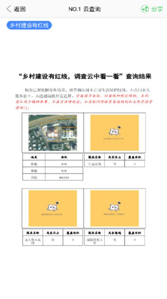 云中查app官方版