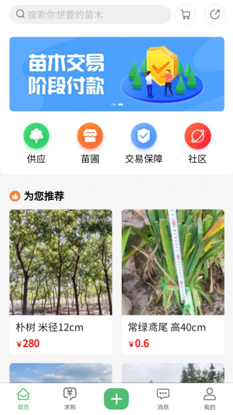 苗青青app正式版