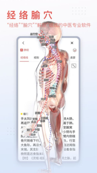 3dbody解剖图手机版下载app2023版 v8.7.40 screenshot 2