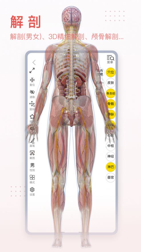 3dbodyͼֻapp2023ͼƬ1