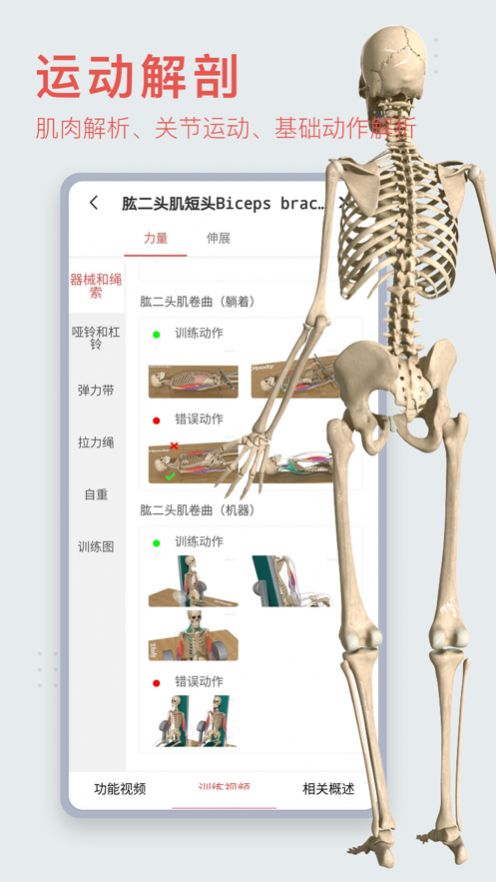 3dbodyͼֻapp2023ͼƬ3