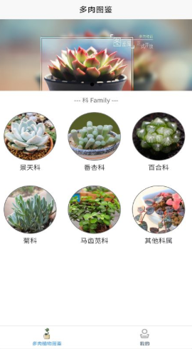 嘟嘟多肉植物鉴app官方版