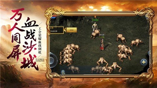 顺玩经典传奇游戏官方高爆版