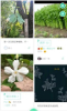 花草识别拍照软件下载 v1.1.2 screenshot 3