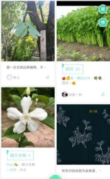 花草识别拍照软件下载 v1.1.2 screenshot 3