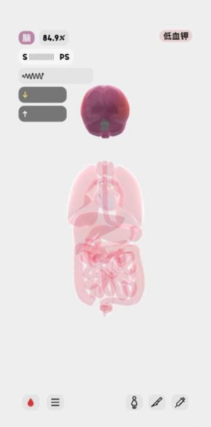 生命人体模拟器life汉化版兼容版游戏