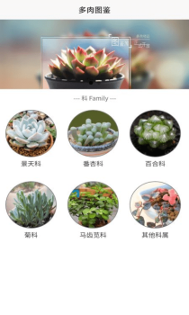 潮句多肉植物汇手机版app v1.2 screenshot 1