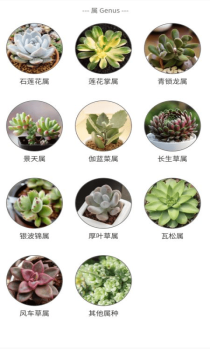 潮句多肉植物汇手机版app v1.2 screenshot 2