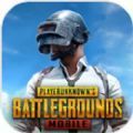 正版pubgmobile国际服下载最新版