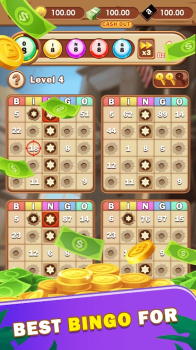 牛仔宾果射击游戏安卓版（Cowboy Bingo Shooting Master） v2.0.0 screenshot 1