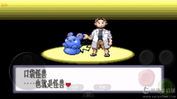 口袋妖怪火影忍者红宝石中文版下载