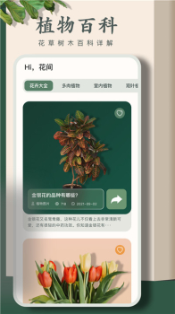 拍照识别植物软件安卓版 v1.0.0 screenshot 2