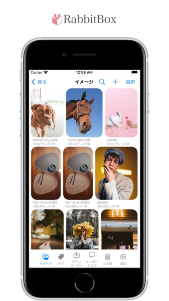 RabbitBox插画图片官方版app
