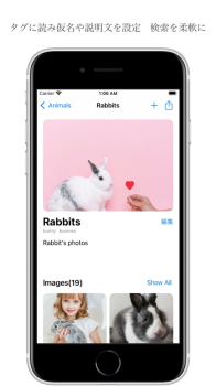 RabbitBox插画图片官方版app v1.0.0 screenshot 2