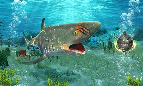 海鲨世界攻击3D游戏安卓中文版（Sea Shark Attack） v1.0 screenshot 4