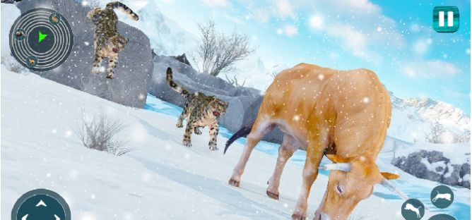 雪地雪豹模拟器游戏手机版下载（Snow Leopard） v1.01 screenshot 3