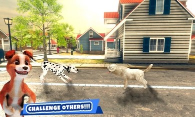 狗的生活动物冒险游戏中文版（Dog Life Animal Adventure） v1.0.4 screenshot 3